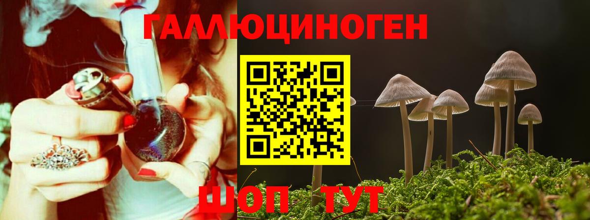 Псилоцибиновые грибы прущие грибы Алейск